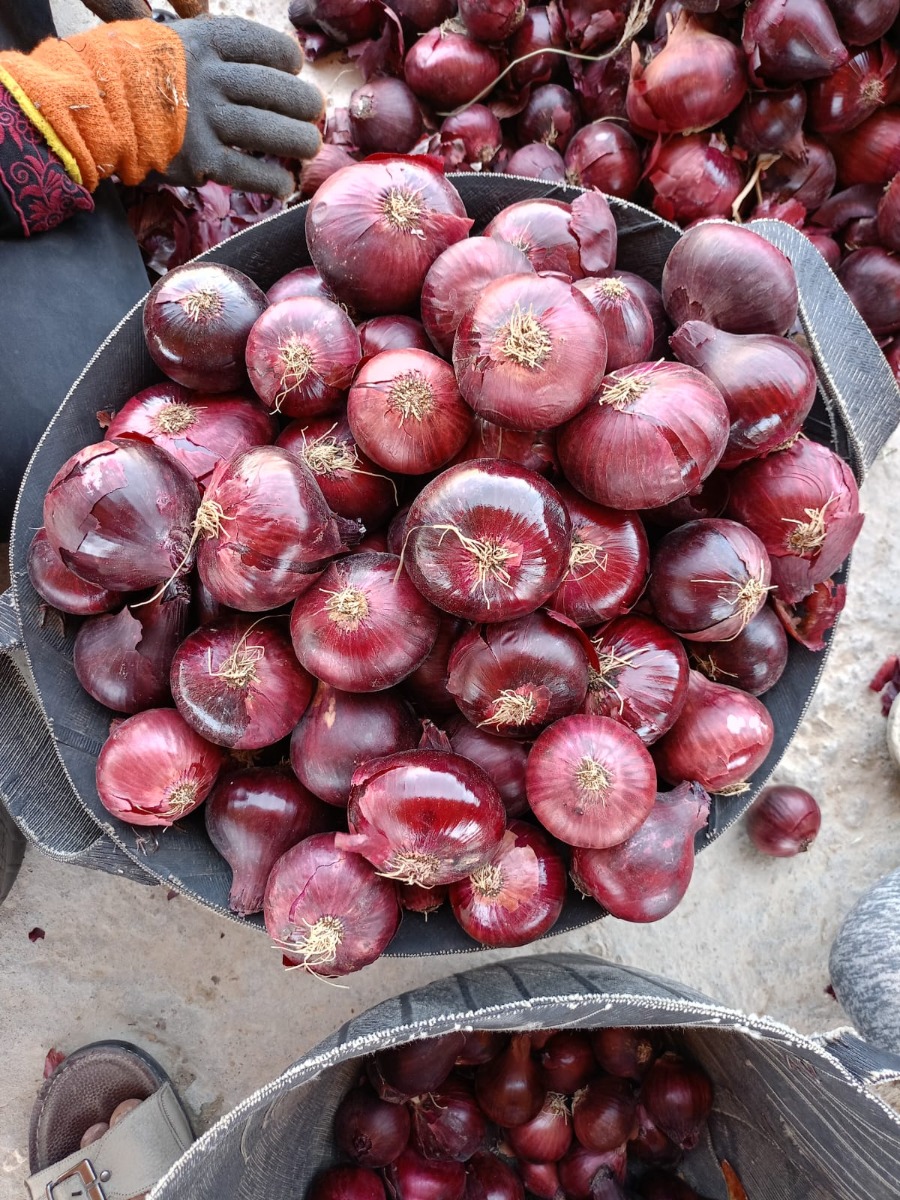 Red onions