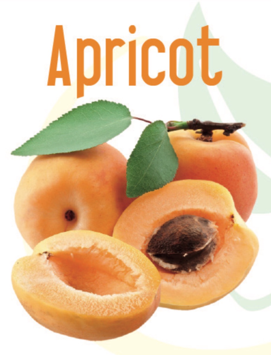 Apricot