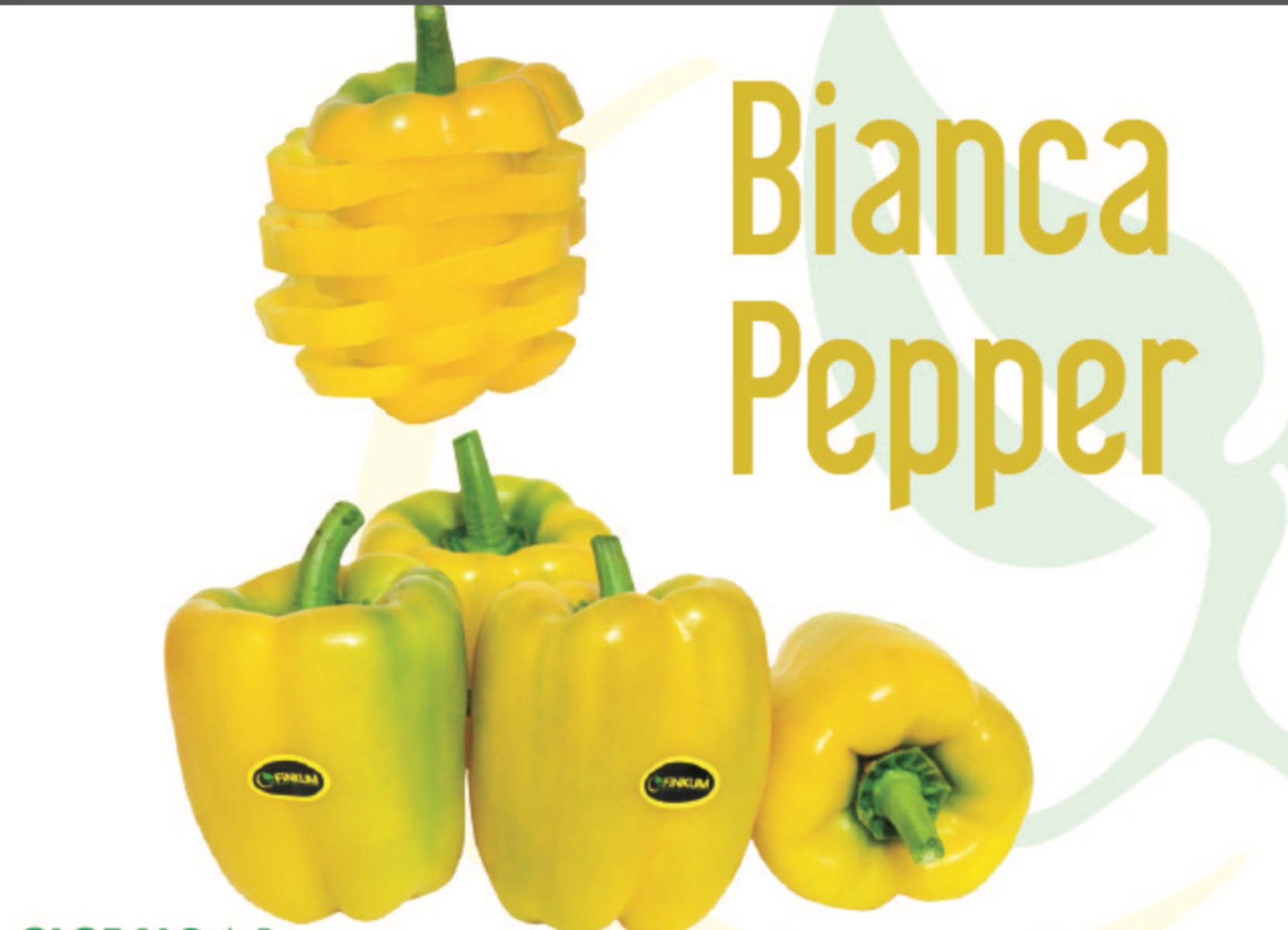 Bianca pepper