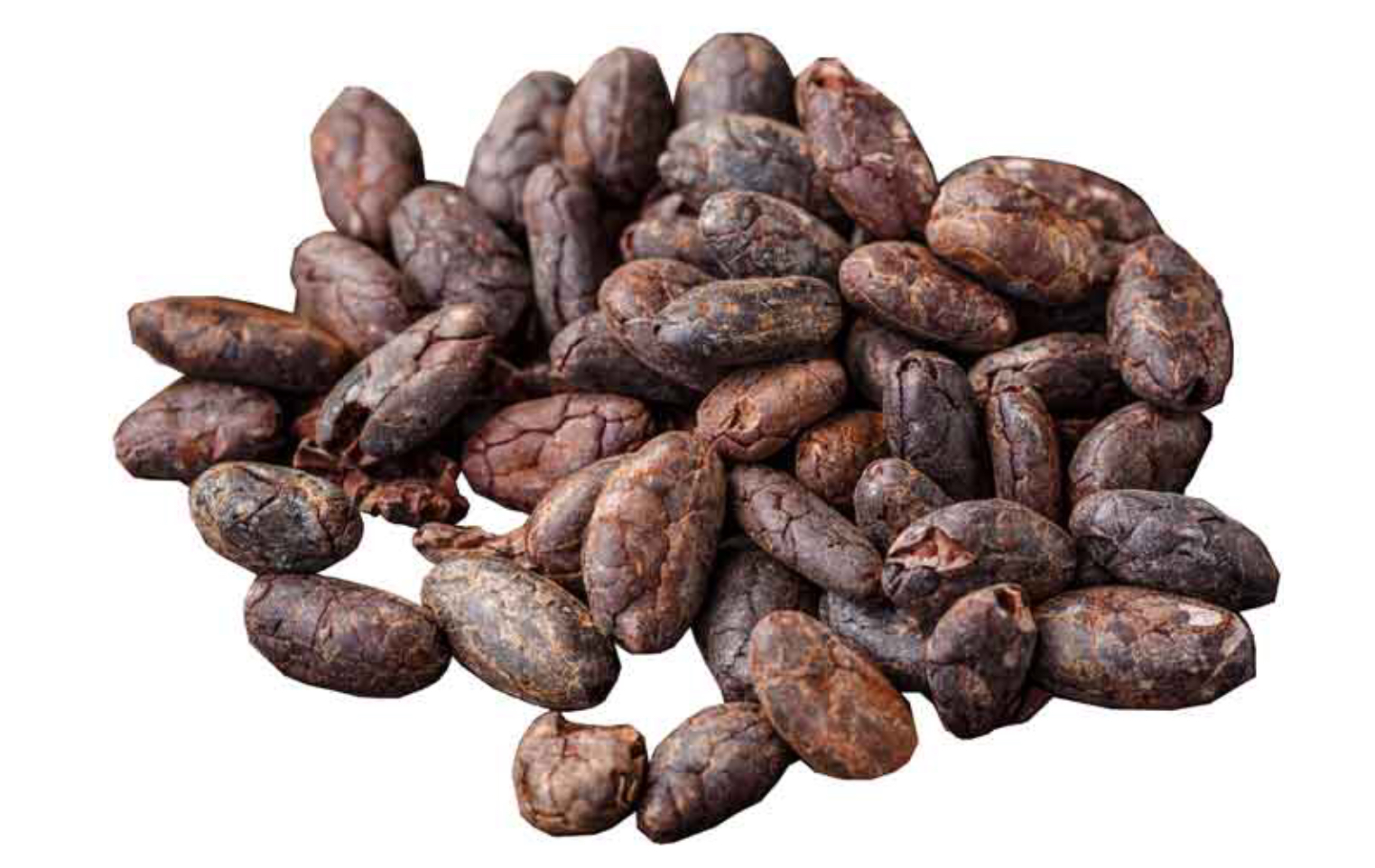 Cocoa beans