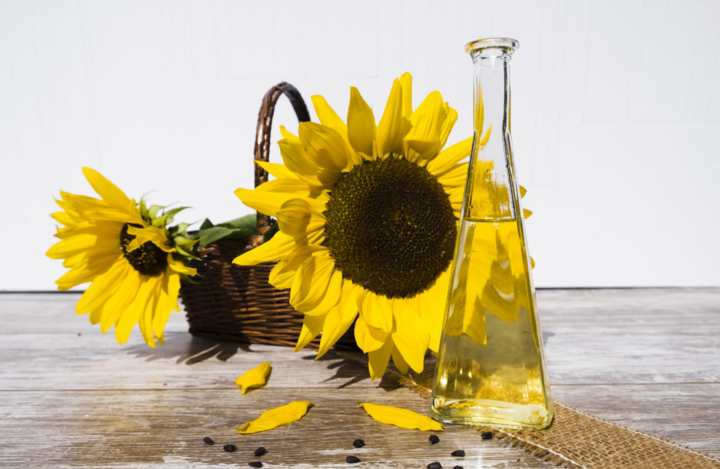 sun flower oil