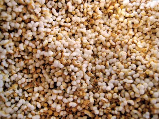 Amaranth seeds