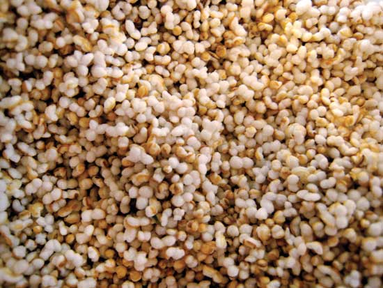 Amaranth seeds