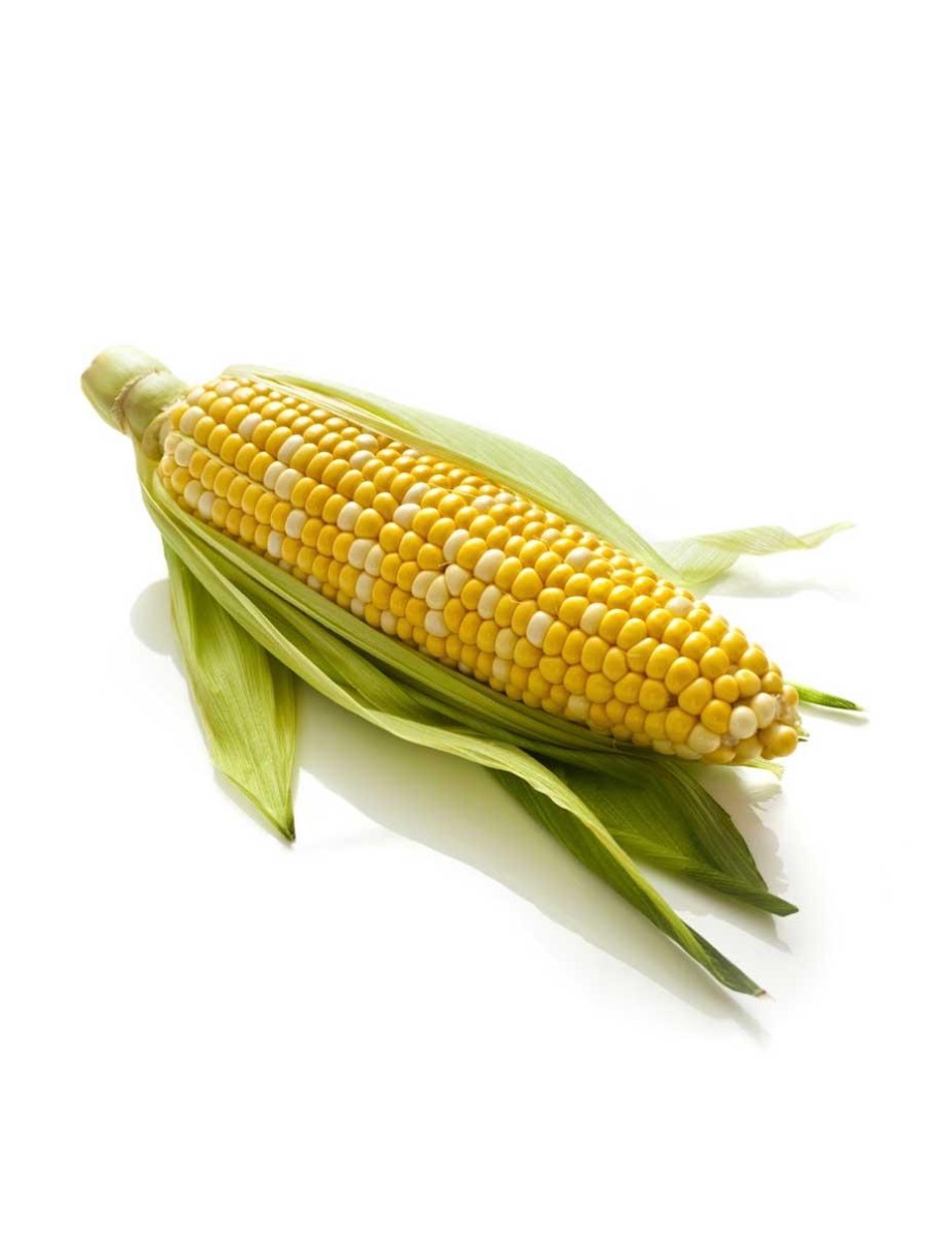 SWEET CORN