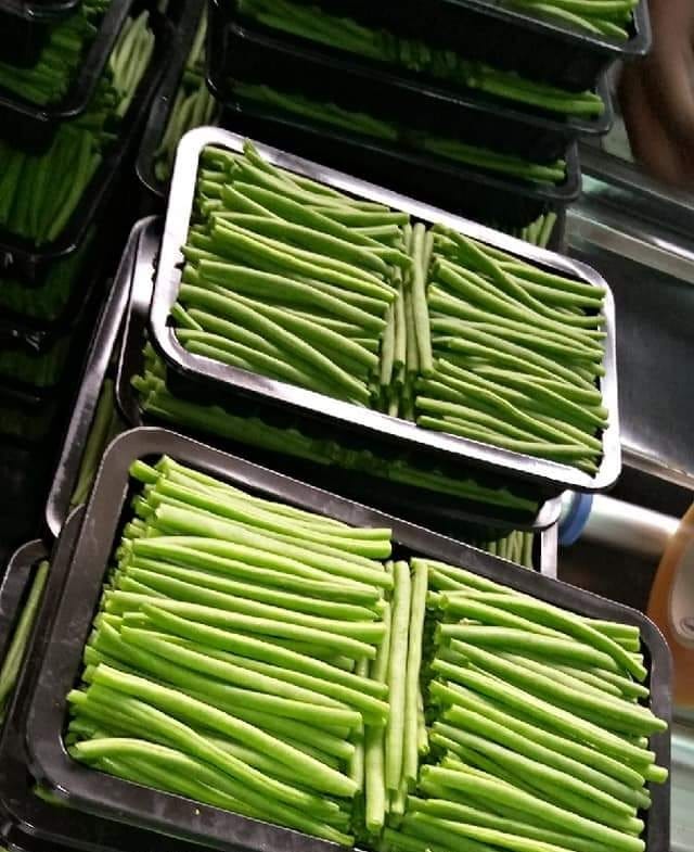 French beans Extra Fine
