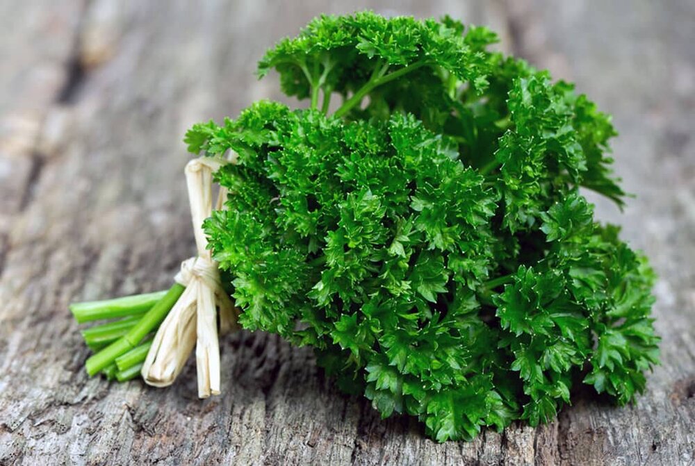 Parsley