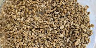 Carom seeds