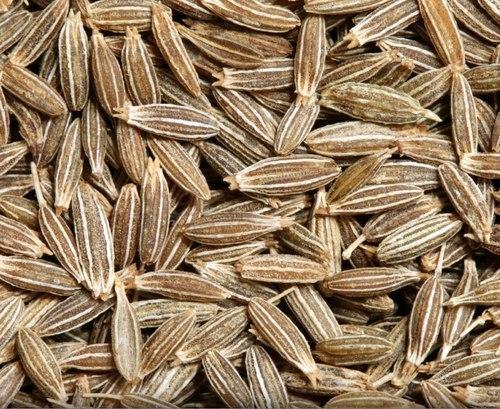 Cumin seeds