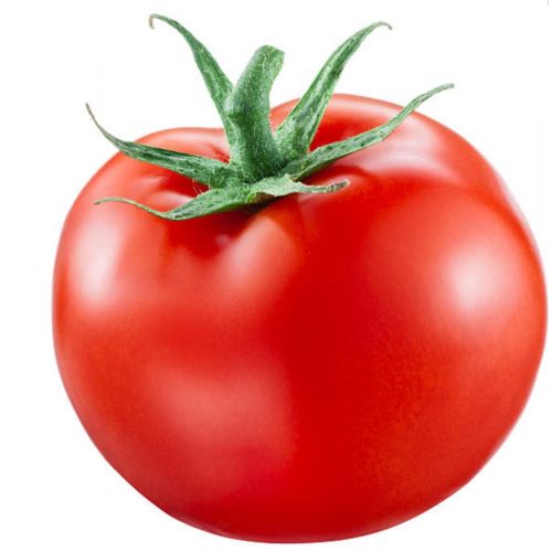 Tomato 