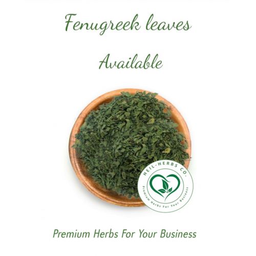 Fenugreek Leaves