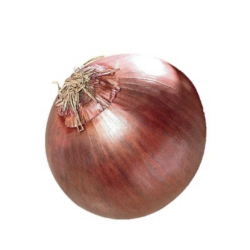 Red Onion