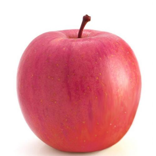 Fuji red apple