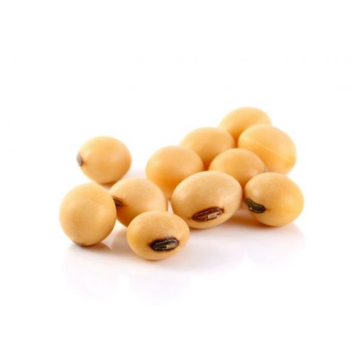 Soybean