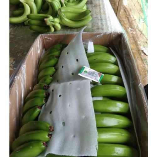 Bananas