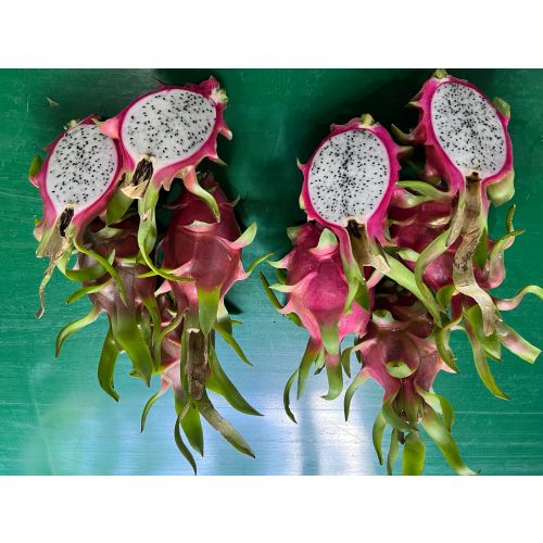 white dragon fruits