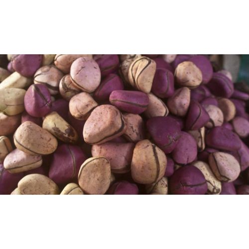 Kola Nuts