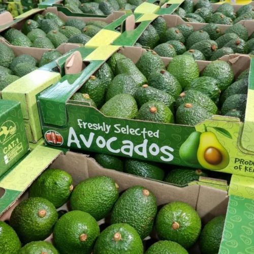 Hass avocado