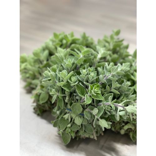 Oregano