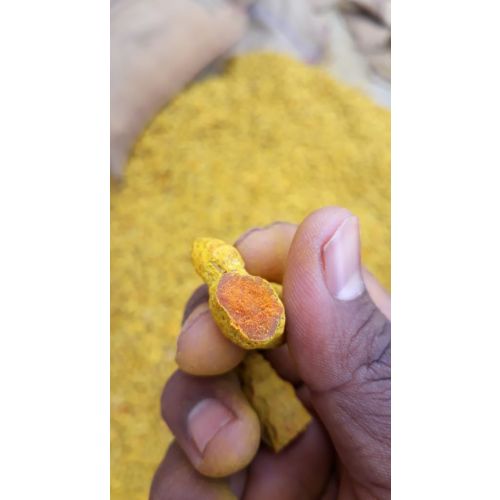 Turmeric fingers