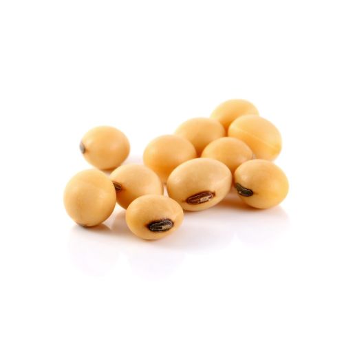 Soybean