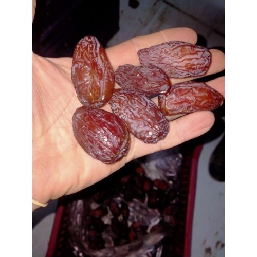 medjool dates