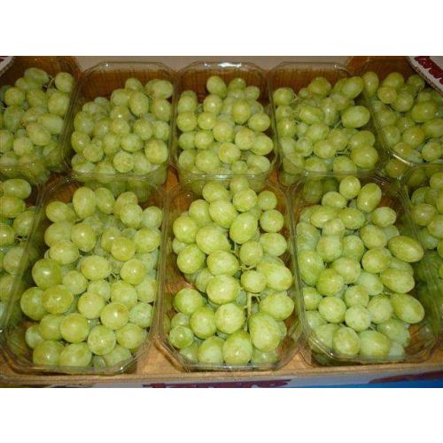 Egyptian Seedless Grapes