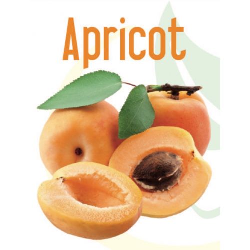 Apricot