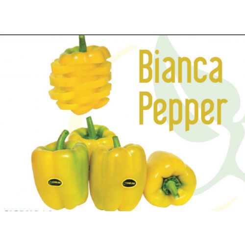 Bianca pepper