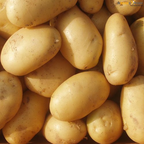 Potatoes