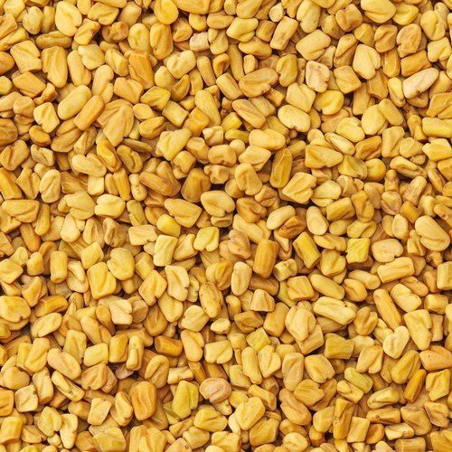 Fenugreek seeds