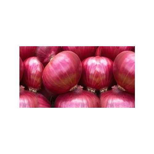 Red Onion