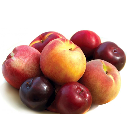 Stone fruit