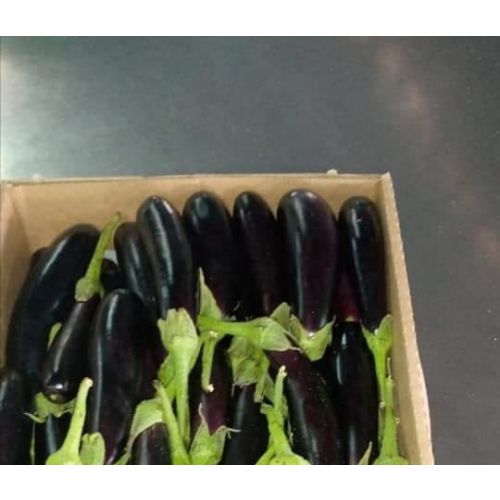 Aubergines