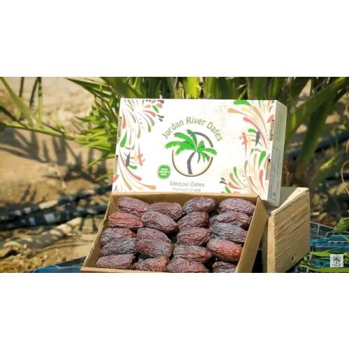 Jordan River Dates- Premium Large Medjool - 1Kg Box