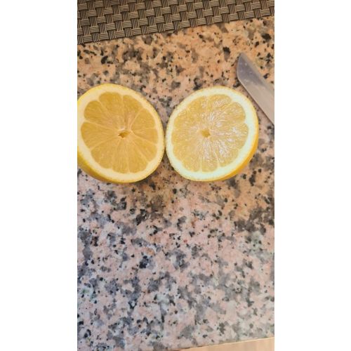 Lemon