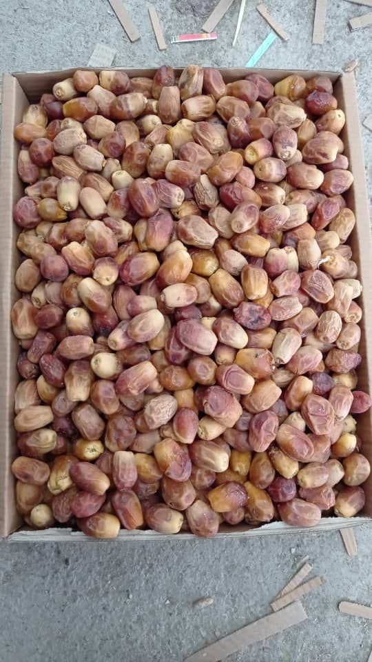 Zahedi Dates