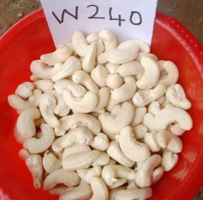 Cashew kernel 
