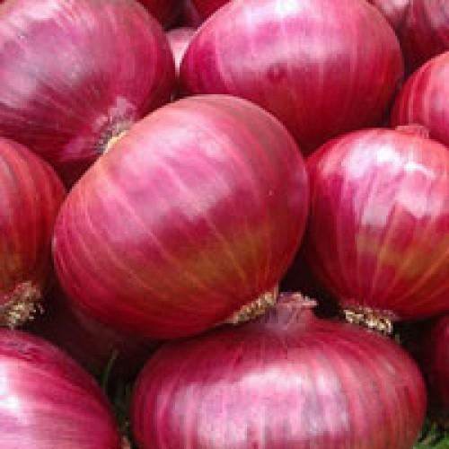 Red onions