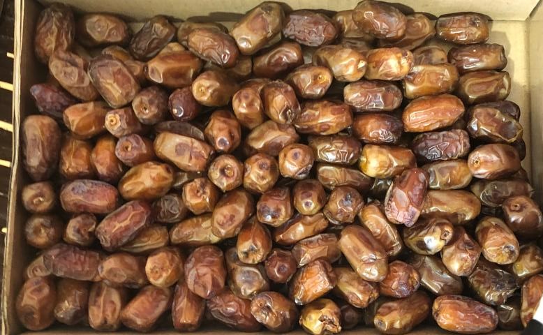 Semi dry Egyptian dates with PItes