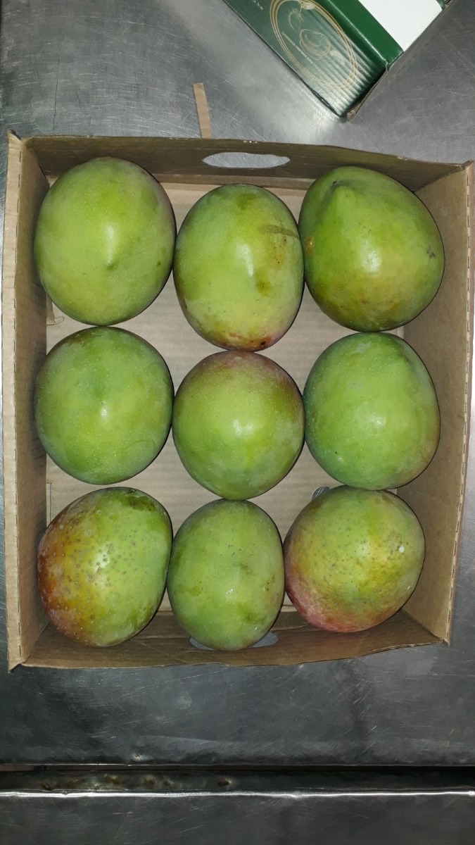 Apple Mango