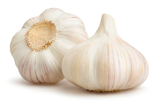 GARLIC