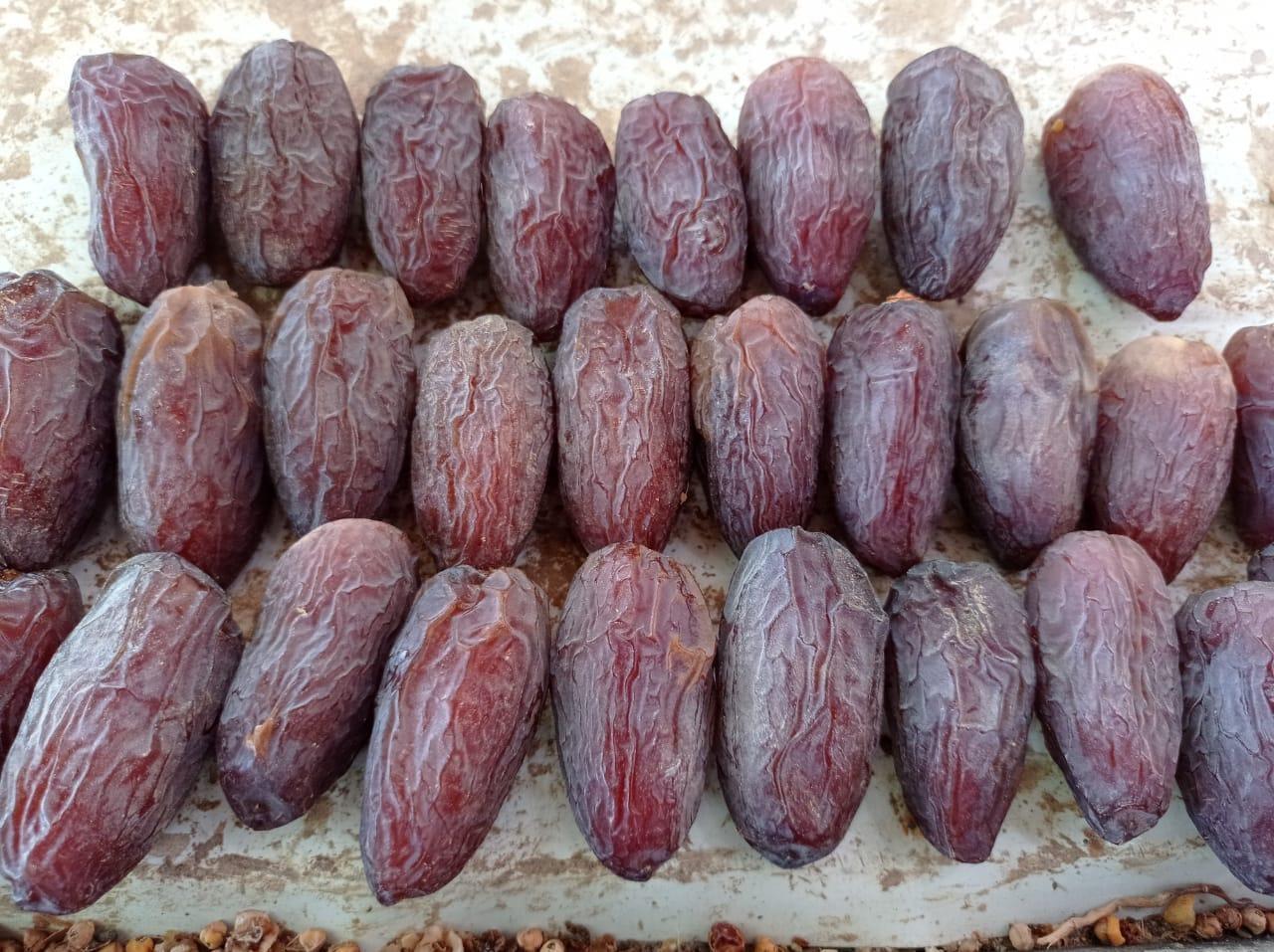 Majdool Dates 