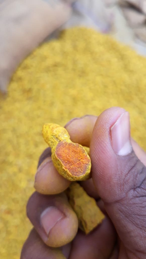 Turmeric fingers