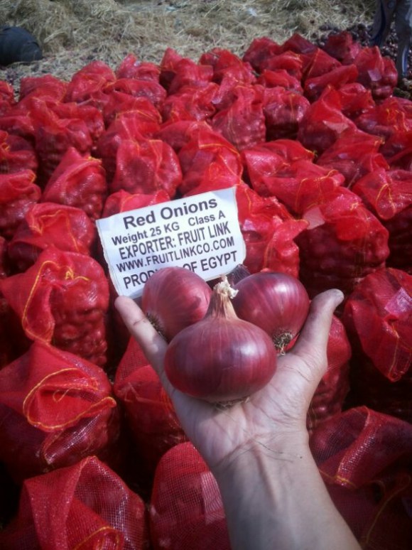 Fresh Red Onion