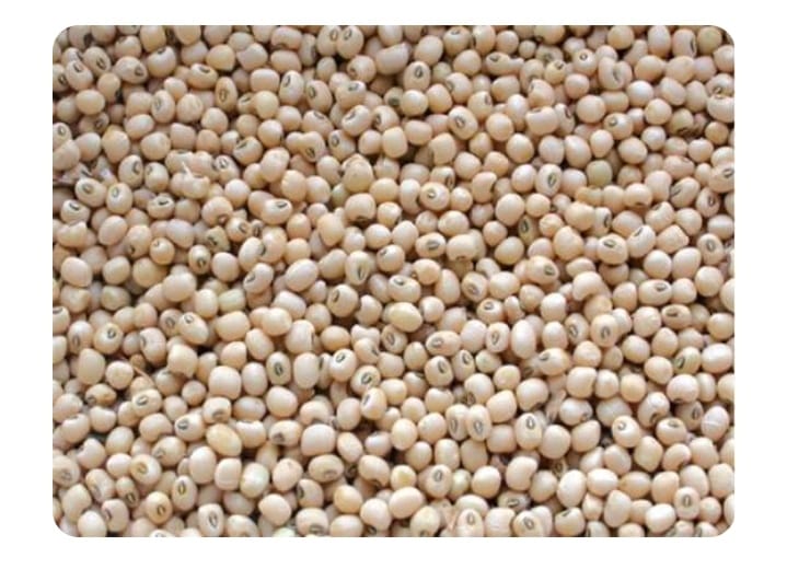 Soya beans