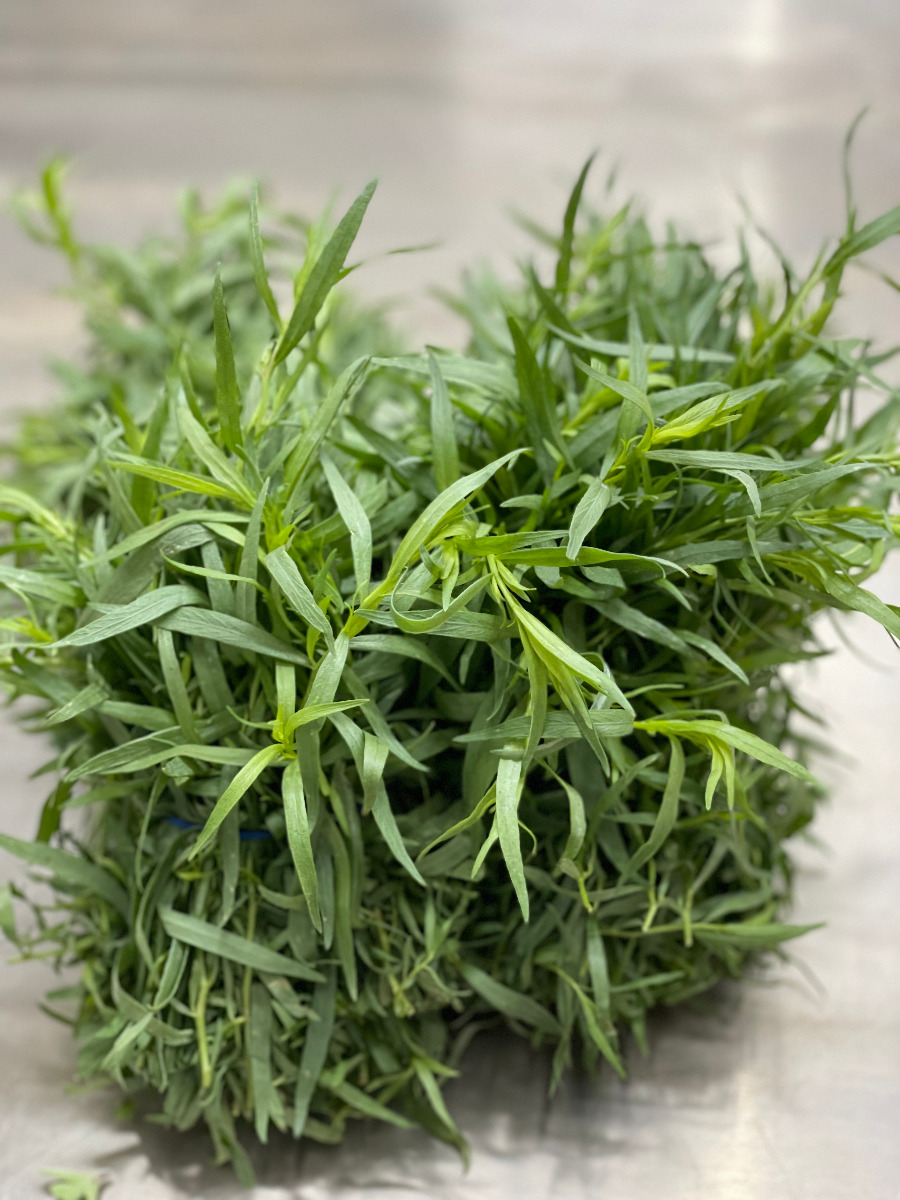 Tarragon