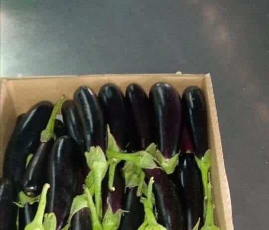 Aubergines