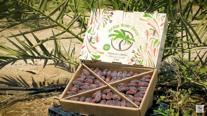 Jordan River Dates Medjool 5Kg Box