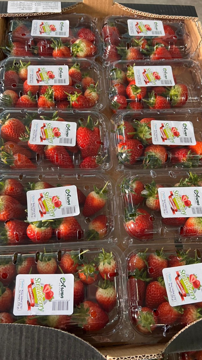 Fresh Strawberry