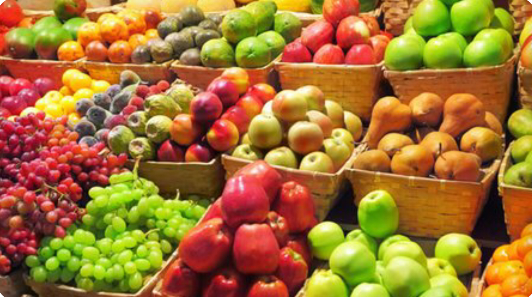 7 tips for organising your processed fruit and vegetables export to Europe